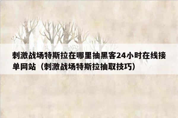 刺激战场特斯拉在哪里抽黑客24小时在线接单网站（刺激战场特斯拉抽取技巧）