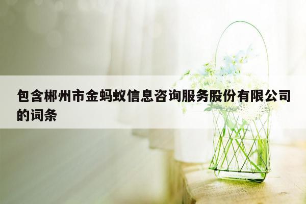 包含郴州市金蚂蚁信息咨询服务股份有限公司的词条