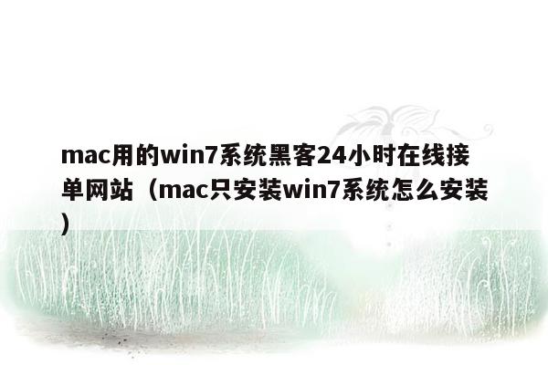 mac用的win7系统黑客24小时在线接单网站（mac只安装win7系统怎么安装）