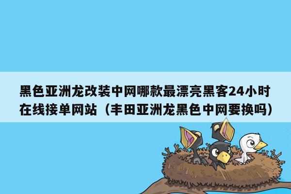 黑色亚洲龙改装中网哪款最漂亮黑客24小时在线接单网站（丰田亚洲龙黑色中网要换吗）