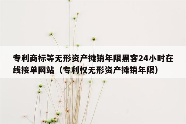 专利商标等无形资产摊销年限黑客24小时在线接单网站（专利权无形资产摊销年限）