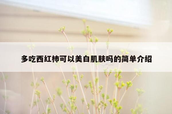 多吃西红柿可以美白肌肤吗的简单介绍