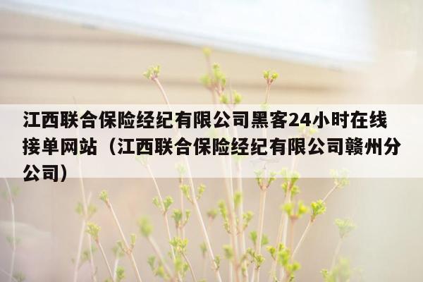 江西联合保险经纪有限公司黑客24小时在线接单网站（江西联合保险经纪有限公司赣州分公司）