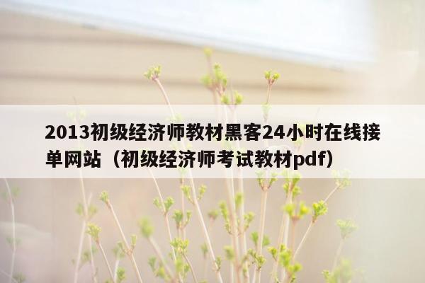 2013初级经济师教材黑客24小时在线接单网站（初级经济师考试教材pdf）