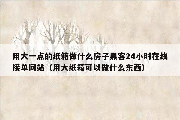 用大一点的纸箱做什么房子黑客24小时在线接单网站（用大纸箱可以做什么东西）