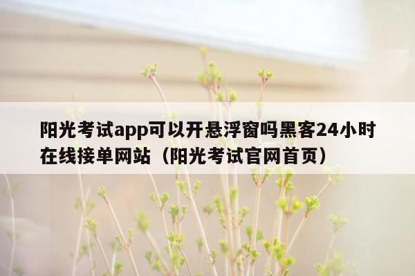 阳光考试app可以开悬浮窗吗黑客24小时在线接单网站（阳光考试官网首页）