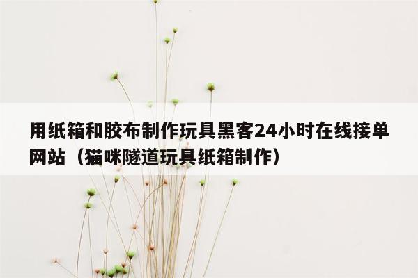 用纸箱和胶布制作玩具黑客24小时在线接单网站（猫咪隧道玩具纸箱制作）