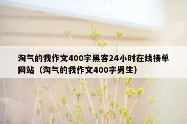 淘气的我作文400字黑客24小时在线接单网站（淘气的我作文400字男生）