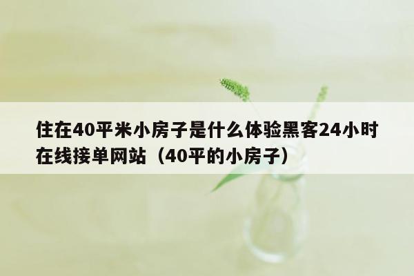 住在40平米小房子是什么体验黑客24小时在线接单网站（40平的小房子）