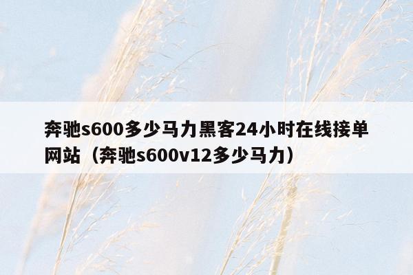 奔驰s600多少马力黑客24小时在线接单网站（奔驰s600v12多少马力）