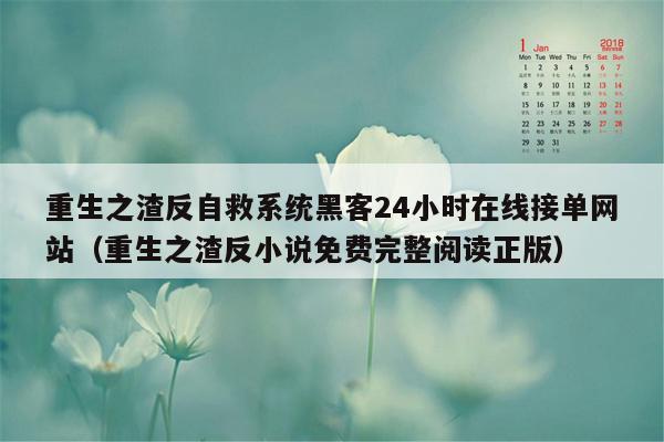 重生之渣反自救系统黑客24小时在线接单网站（重生之渣反小说免费完整阅读正版）