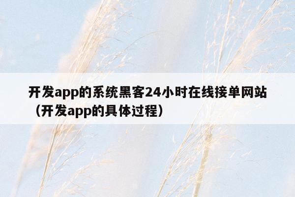 开发app的系统黑客24小时在线接单网站（开发app的具体过程）