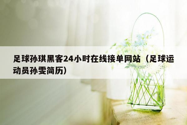 足球孙琪黑客24小时在线接单网站（足球运动员孙雯简历）