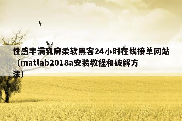 性感丰满乳房柔软黑客24小时在线接单网站（matlab2018a安装教程和破解方法）