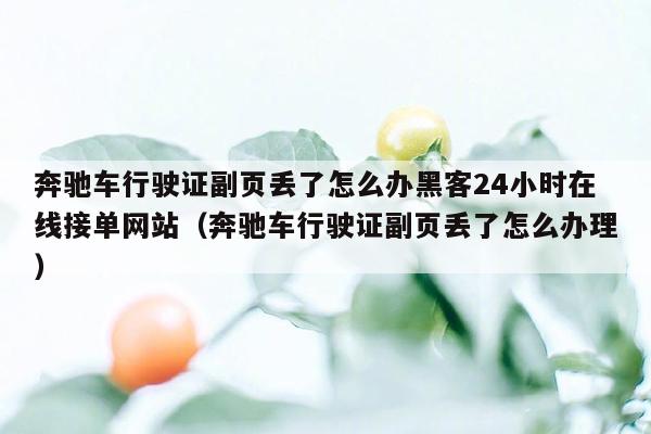 奔驰车行驶证副页丢了怎么办黑客24小时在线接单网站（奔驰车行驶证副页丢了怎么办理）