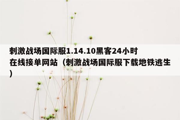 刺激战场国际服1.14.10黑客24小时在线接单网站（刺激战场国际服下载地铁逃生）