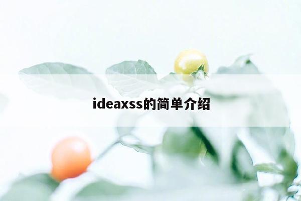 ideaxss的简单介绍