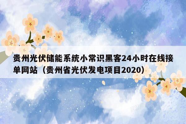 贵州光伏储能系统小常识黑客24小时在线接单网站（贵州省光伏发电项目2020）