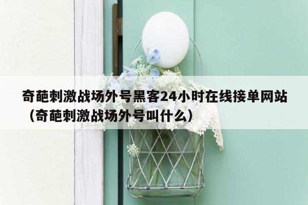 奇葩刺激战场外号黑客24小时在线接单网站（奇葩刺激战场外号叫什么）