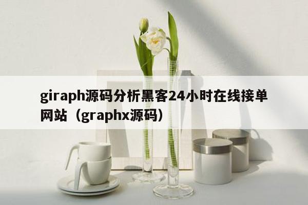 giraph源码分析黑客24小时在线接单网站（graphx源码）