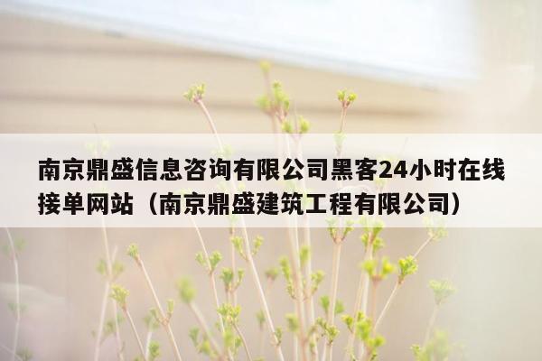 南京鼎盛信息咨询有限公司黑客24小时在线接单网站（南京鼎盛建筑工程有限公司）