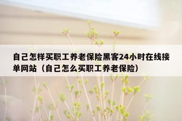 自己怎样买职工养老保险黑客24小时在线接单网站（自己怎么买职工养老保险）