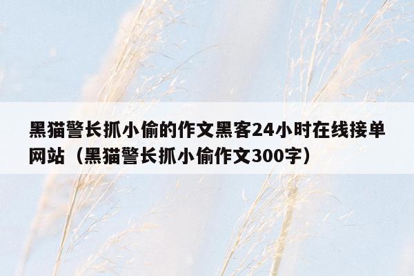 黑猫警长抓小偷的作文黑客24小时在线接单网站（黑猫警长抓小偷作文300字）