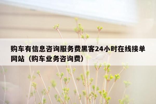 购车有信息咨询服务费黑客24小时在线接单网站（购车业务咨询费）