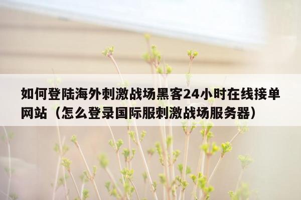 如何登陆海外刺激战场黑客24小时在线接单网站（怎么登录国际服刺激战场服务器）