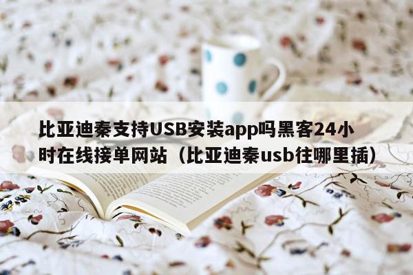 比亚迪秦支持USB安装app吗黑客24小时在线接单网站（比亚迪秦usb往哪里插）