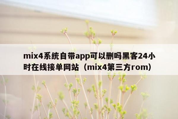 mix4系统自带app可以删吗黑客24小时在线接单网站（mix4第三方rom）