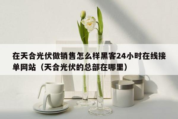 在天合光伏做销售怎么样黑客24小时在线接单网站（天合光伏的总部在哪里）