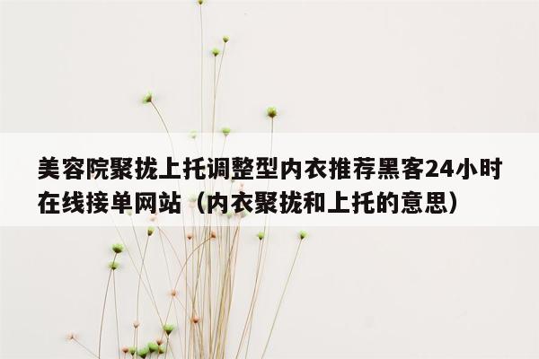 美容院聚拢上托调整型内衣推荐黑客24小时在线接单网站（内衣聚拢和上托的意思）