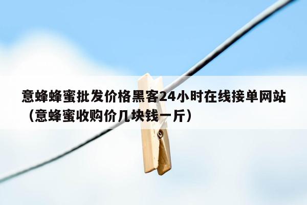 意蜂蜂蜜批发价格黑客24小时在线接单网站（意蜂蜜收购价几块钱一斤）