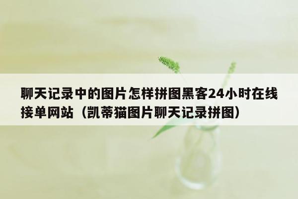 聊天记录中的图片怎样拼图黑客24小时在线接单网站（凯蒂猫图片聊天记录拼图）