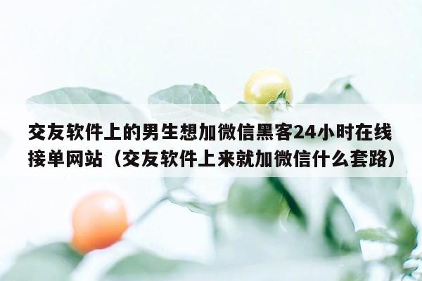 交友软件上的男生想加微信黑客24小时在线接单网站（交友软件上来就加微信什么套路）