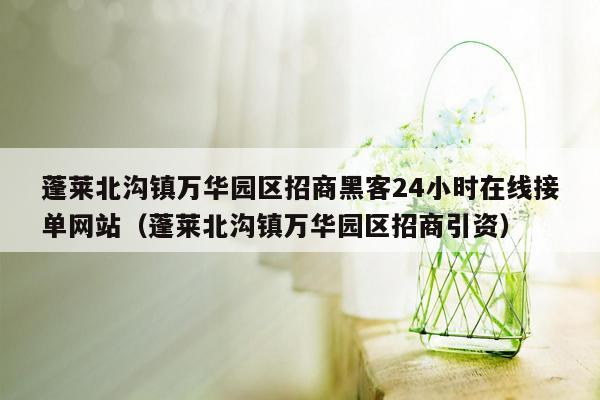 蓬莱北沟镇万华园区招商黑客24小时在线接单网站（蓬莱北沟镇万华园区招商引资）