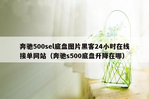 奔驰500sel底盘图片黑客24小时在线接单网站（奔驰s500底盘升降在哪）