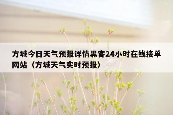 方城今日天气预报详情黑客24小时在线接单网站（方城天气实时预报）