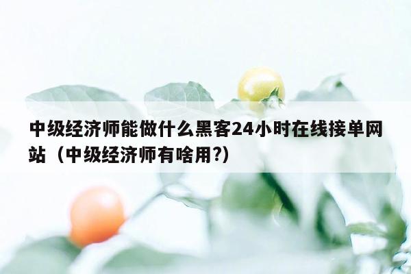 中级经济师能做什么黑客24小时在线接单网站（中级经济师有啥用?）