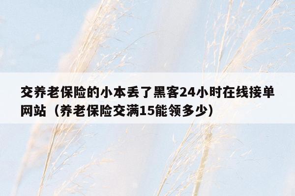 交养老保险的小本丢了黑客24小时在线接单网站（养老保险交满15能领多少）