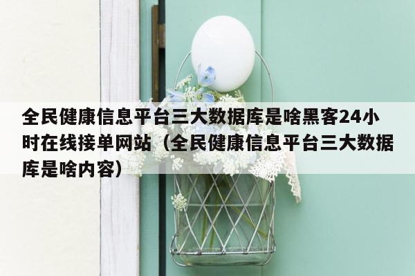 全民健康信息平台三大数据库是啥黑客24小时在线接单网站（全民健康信息平台三大数据库是啥内容）