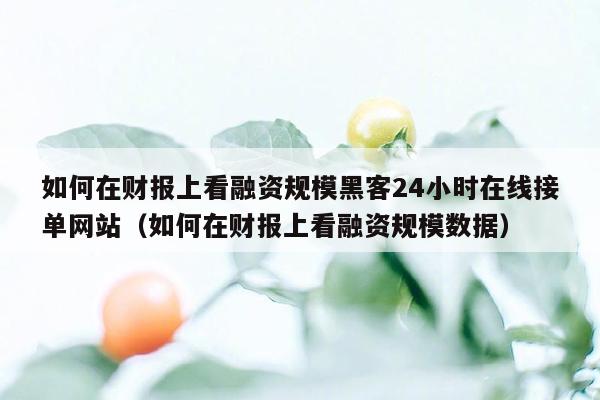 如何在财报上看融资规模黑客24小时在线接单网站（如何在财报上看融资规模数据）