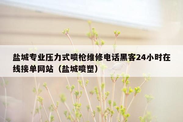 盐城专业压力式喷枪维修电话黑客24小时在线接单网站（盐城喷塑）