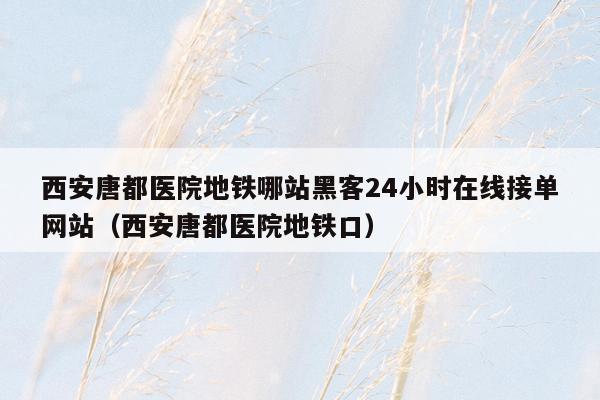 西安唐都医院地铁哪站黑客24小时在线接单网站（西安唐都医院地铁口）