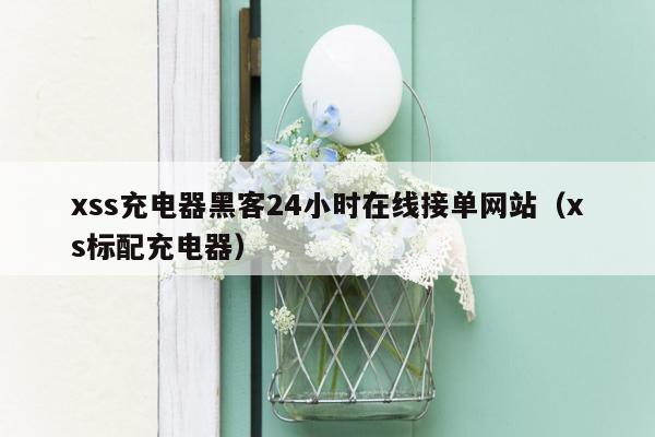 xss充电器黑客24小时在线接单网站（xs标配充电器）