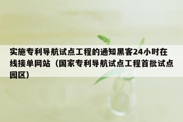 实施专利导航试点工程的通知黑客24小时在线接单网站（国家专利导航试点工程首批试点园区）