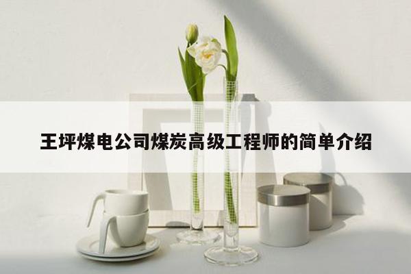 王坪煤电公司煤炭高级工程师的简单介绍