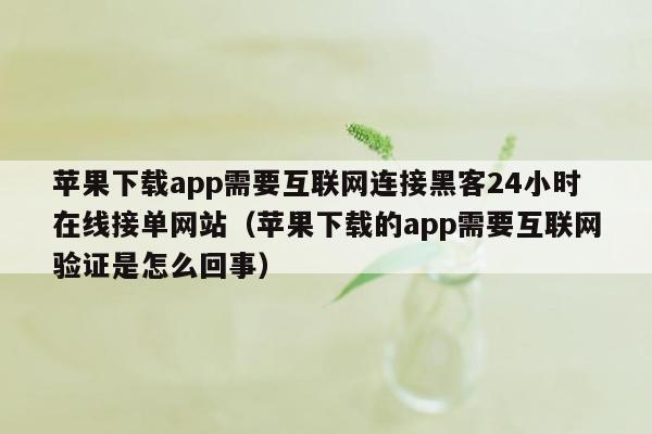 苹果下载app需要互联网连接黑客24小时在线接单网站（苹果下载的app需要互联网验证是怎么回事）