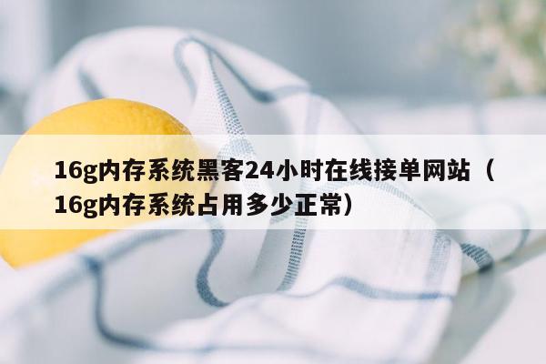 16g内存系统黑客24小时在线接单网站（16g内存系统占用多少正常）